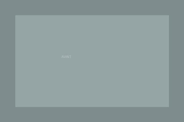 Avant